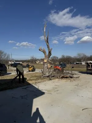 Cutting Edge Lawn & Tree Service