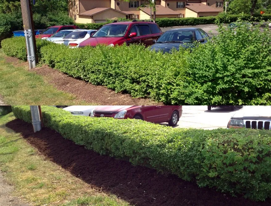 Expert yard cleanup service near you across Tulsa, OK - Cutting Edge Lawn and Landscape