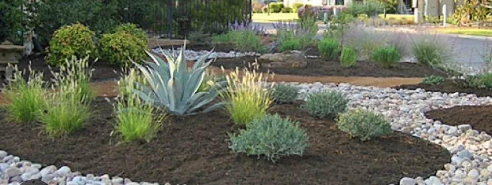 Affordable yard cleanup service in Abilene, TX - Cutting Edge Lawn care & Landscaping