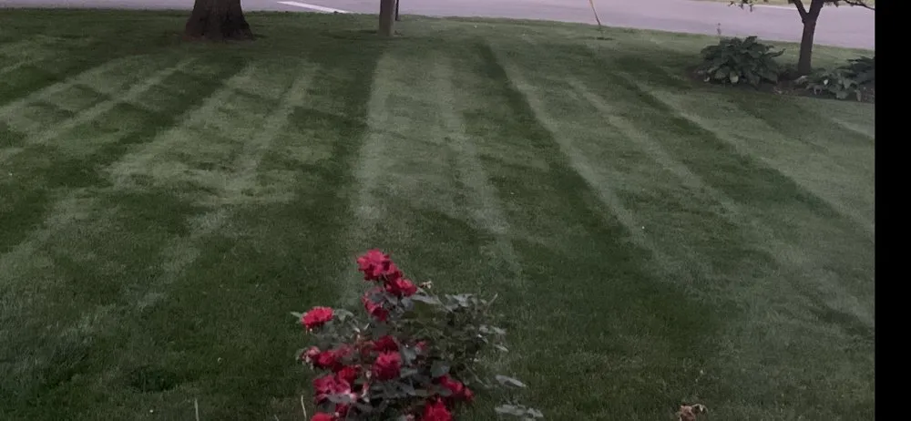 Local landscape design for residential properties in Marion, OH by Cutting Edge Lawn Care- Marion