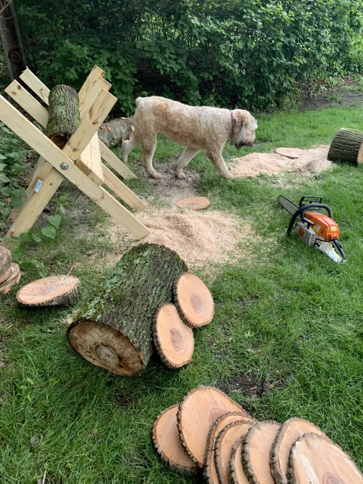 Top-rated landscape installation for outdoor upgrades across Marion, OH - Cutting Edge Lawn Care- Marion