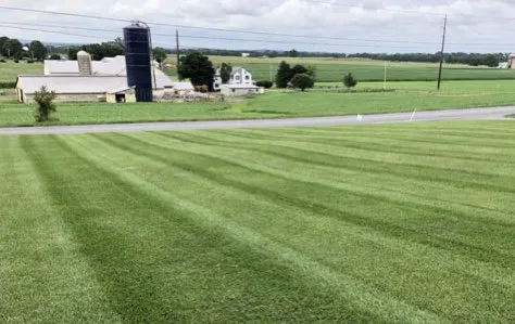 Trusted landscape design in Marion, OH by Cutting Edge Lawn Care- Marion