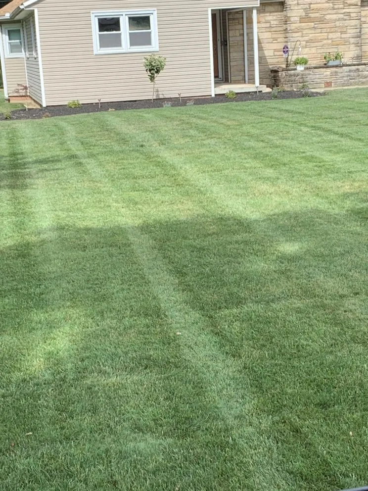 Local lawn care service for residential properties across Marion, OH - Cutting Edge Lawn Care- Marion