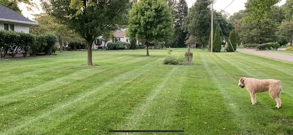 Cutting Edge Lawn Care- Marion Logo