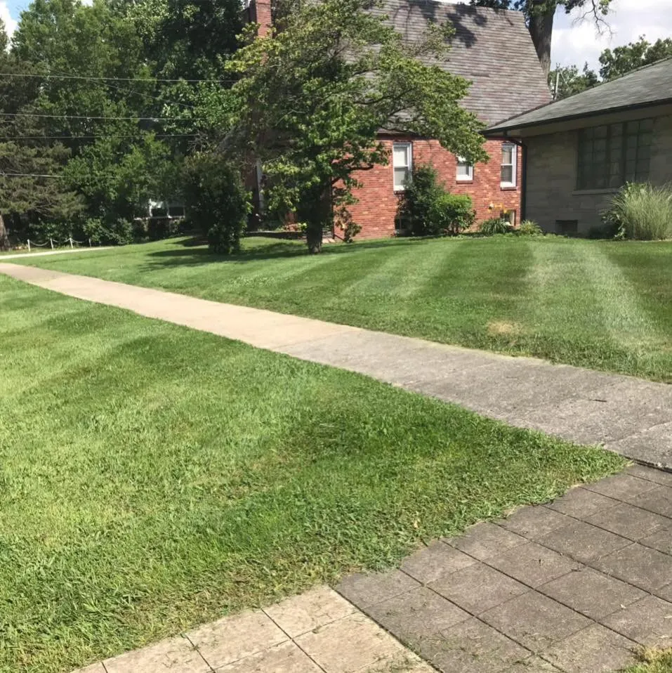 Reliable residential landscaping experts serving Alma, IL - Cutting Edge Lawn Care