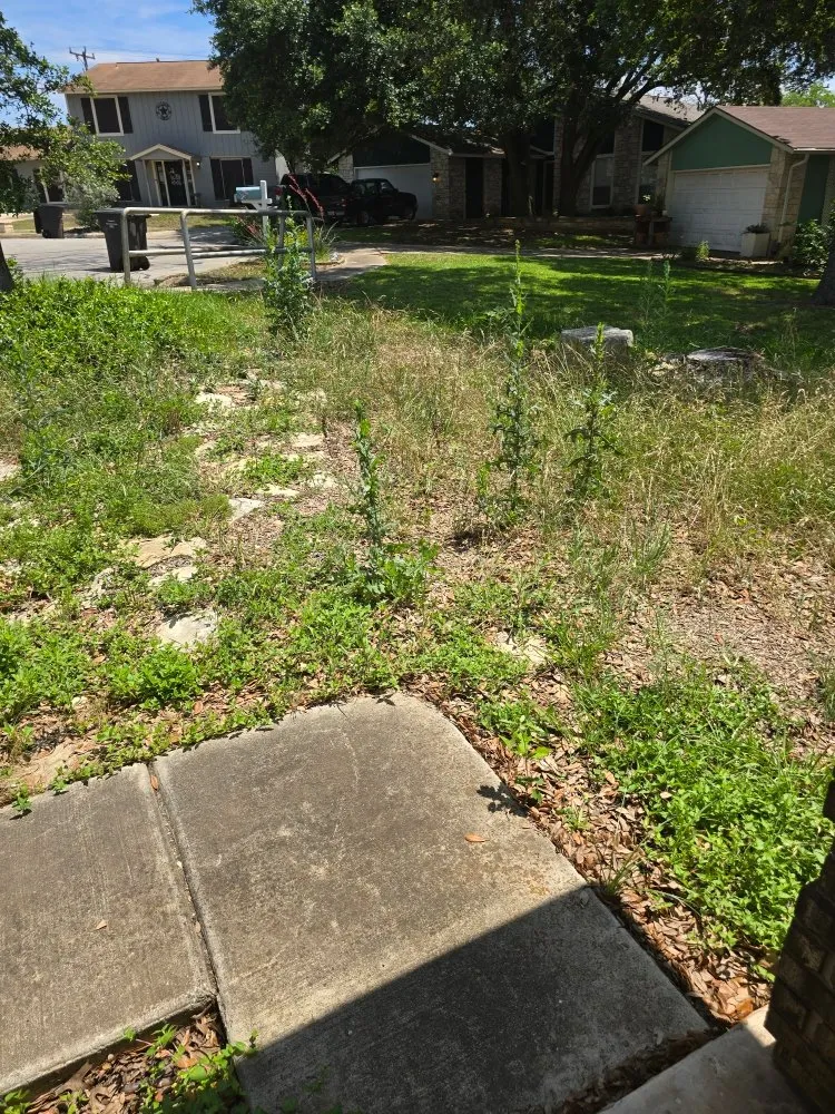 Affordable landscape design for year-round maintenance in San Antonio, TX by Cutting Edge Lawn Care and Design