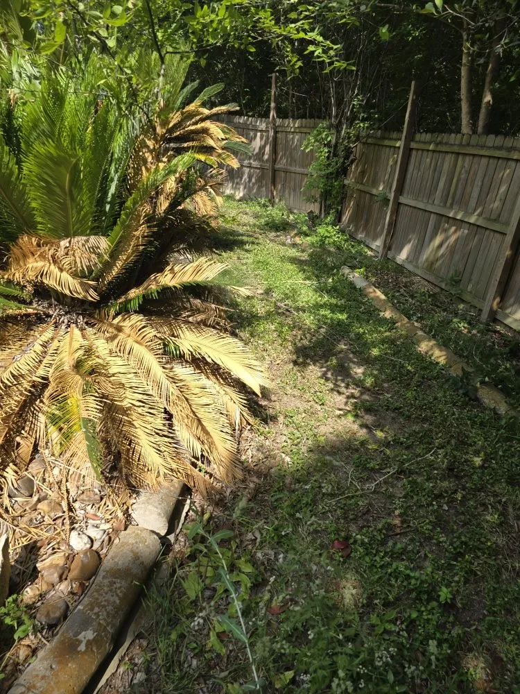 Trusted residential landscaping with custom design across San Antonio, TX - Cutting Edge Lawn Care and Design