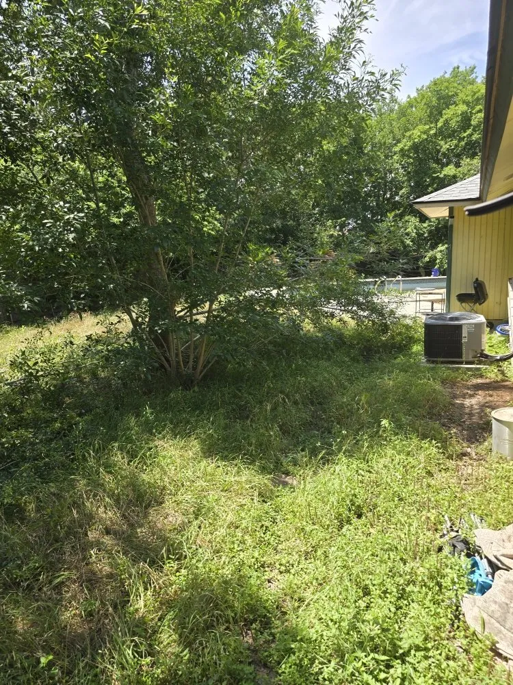 Trusted landscaping services for year-round maintenance in San Antonio, TX by Cutting Edge Lawn Care and Design