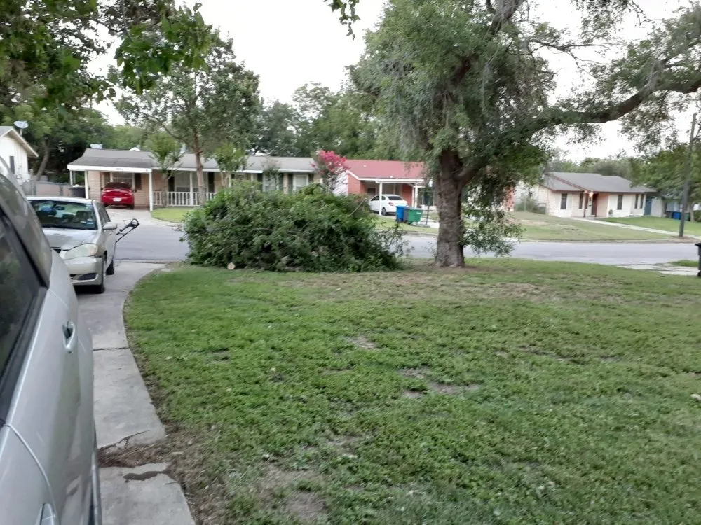 Local lawn mowing service experts serving San Antonio, TX - Cutting Edge Lawn Care and Design