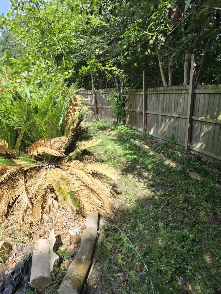 Local lawn care service for homes across San Antonio, TX - Cutting Edge Lawn Care and Design