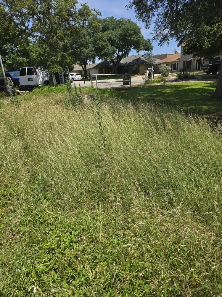 Local garden landscaping for homes across San Antonio, TX - Cutting Edge Lawn Care and Design
