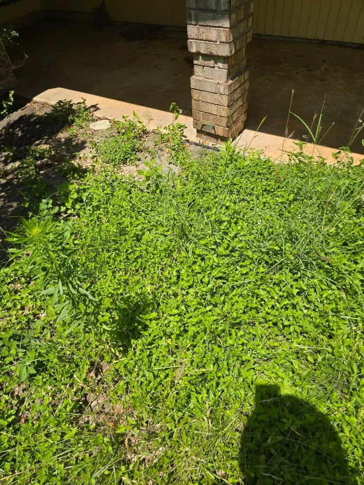 Local outdoor landscaping experts serving San Antonio, TX - Cutting Edge Lawn Care and Design