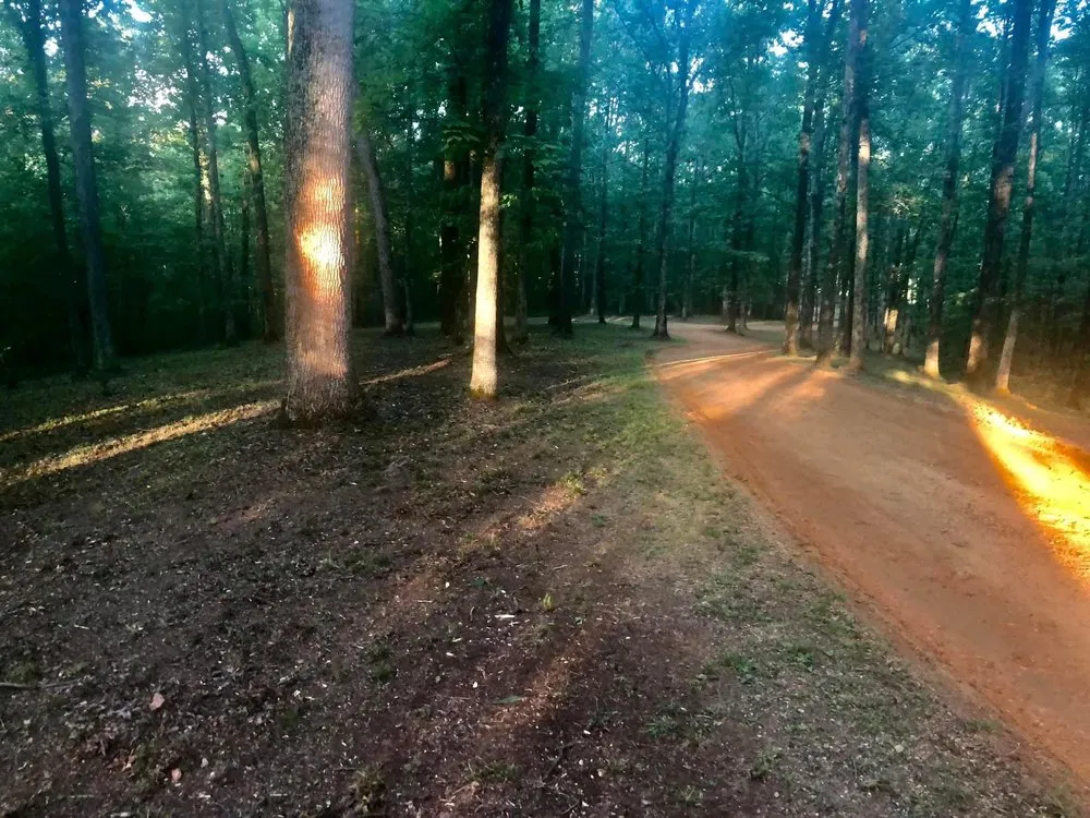 Local landscaping services experts serving Jackson, TN - Cutting Edge Lawn Care and Landscaping