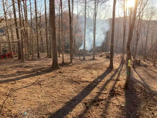 Cutting Edge Lawn Care and Landscaping Logo