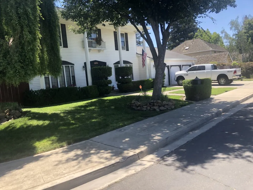 Reliable yard cleanup service in Modesto, CA by Cutting Edge Lawn Care And Maintenance