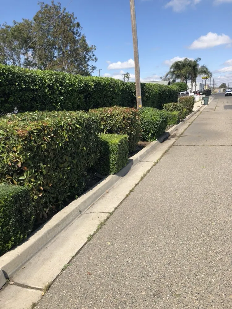 Professional landscaping services with custom design across Modesto, CA - Cutting Edge Lawn Care And Maintenance