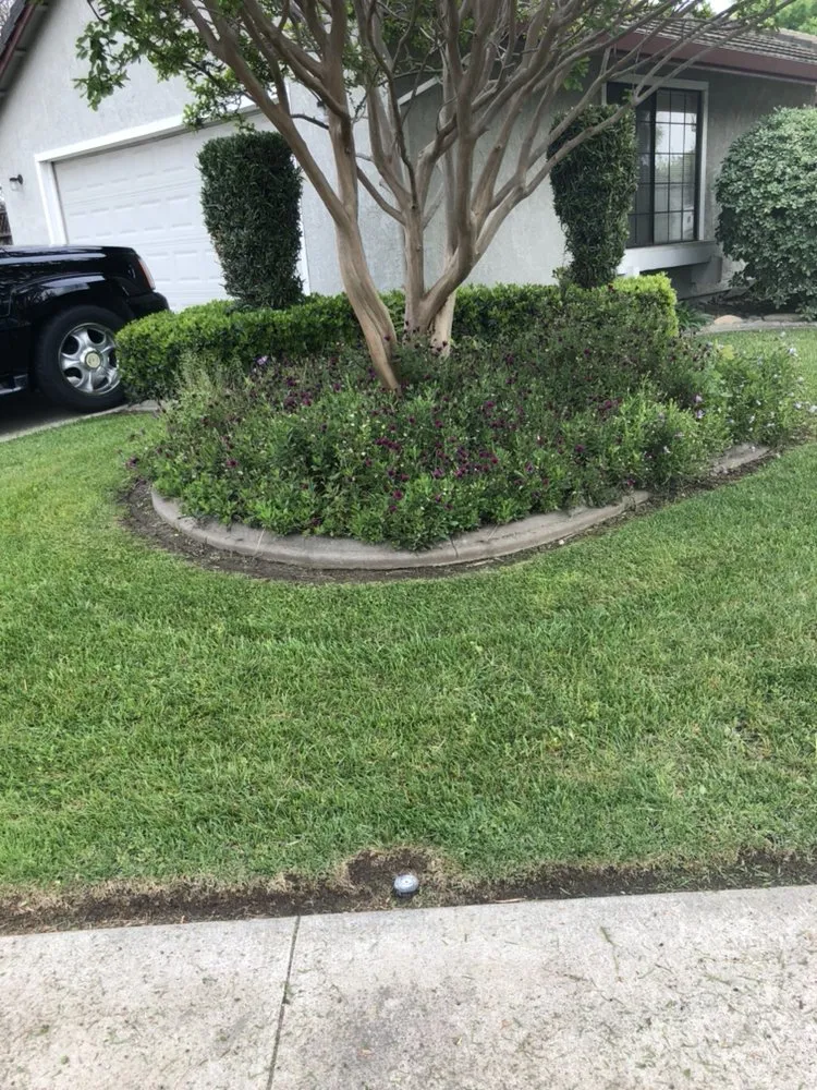 Affordable yard maintenance near you across Modesto, CA - Cutting Edge Lawn Care And Maintenance