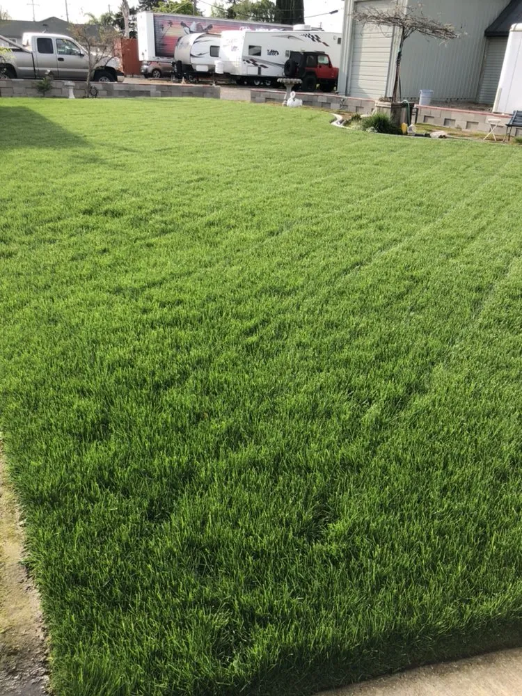 Trusted yard cleanup service for year-round maintenance in Modesto, CA by Cutting Edge Lawn Care And Maintenance