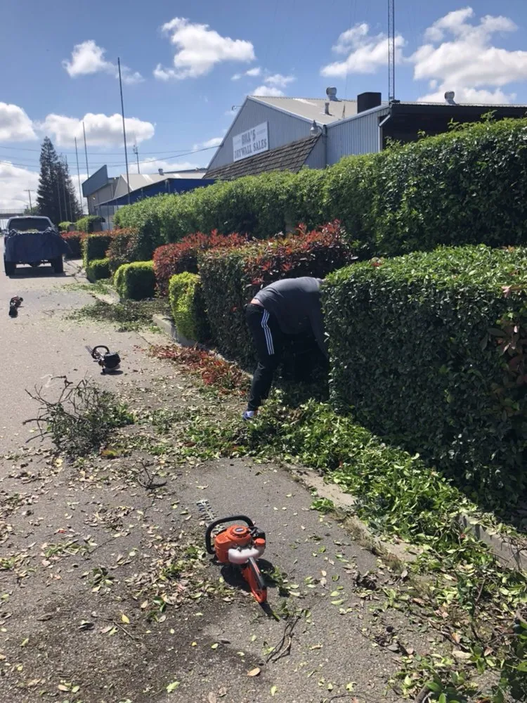 Top-rated yard maintenance for year-round maintenance across Modesto, CA - Cutting Edge Lawn Care And Maintenance