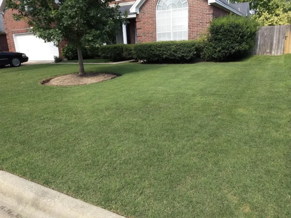 Affordable residential landscaping experts serving Blue Springs, MS - Cutting Edge Lawn Care