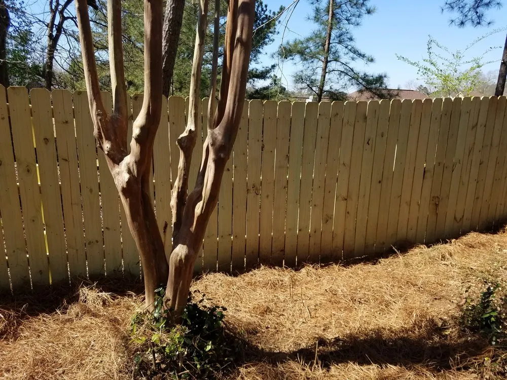 Affordable yard maintenance in Cataula, GA - Cutting Edge Lawn Care