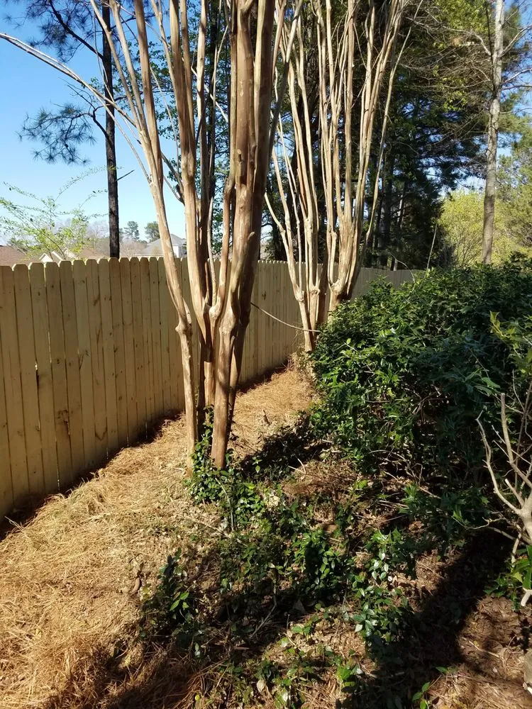 Top-rated yard maintenance experts serving Cataula, GA - Cutting Edge Lawn Care