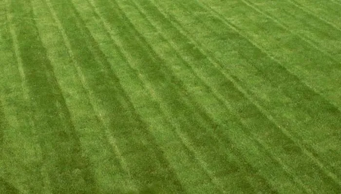 Local landscaping services in Cohoes, NY - Cutting Edge Lawn Care