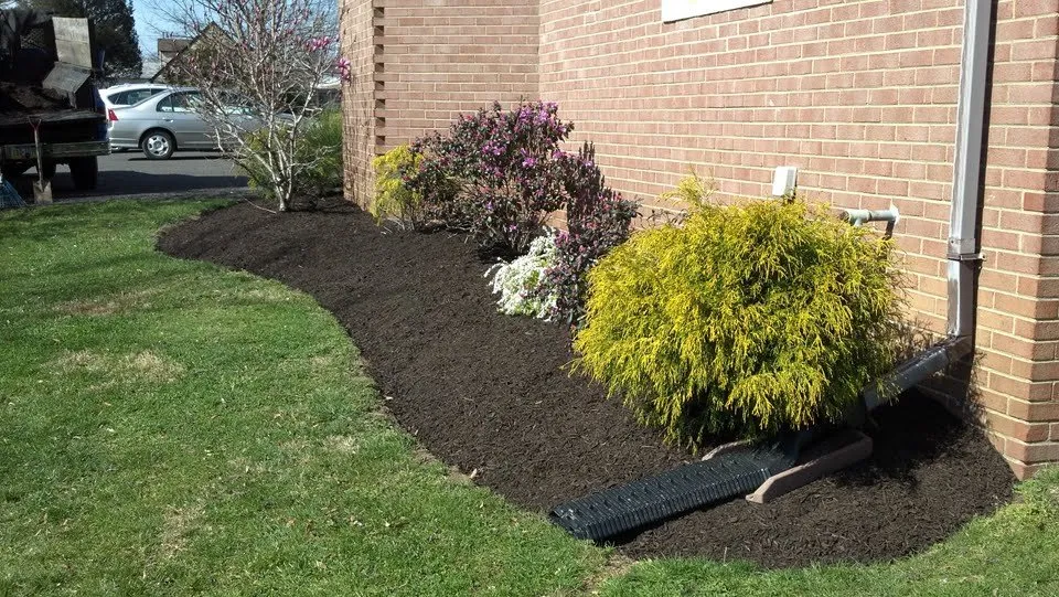 Affordable yard maintenance with custom design in East Norriton, PA by Cutting Edge Lawn Care