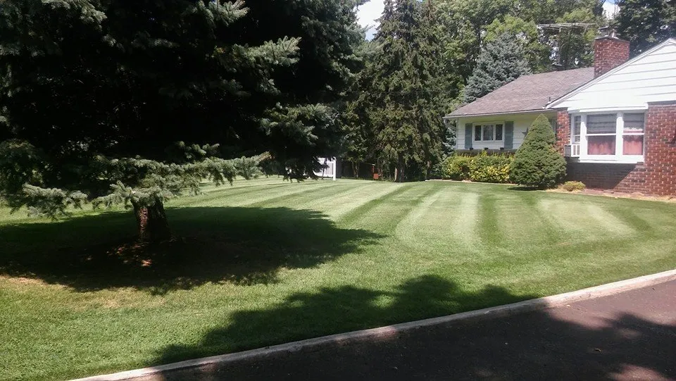 Reliable yard maintenance in East Norriton, PA by Cutting Edge Lawn Care