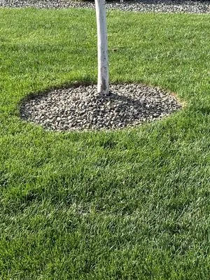 Cutting Edge Lawn Care