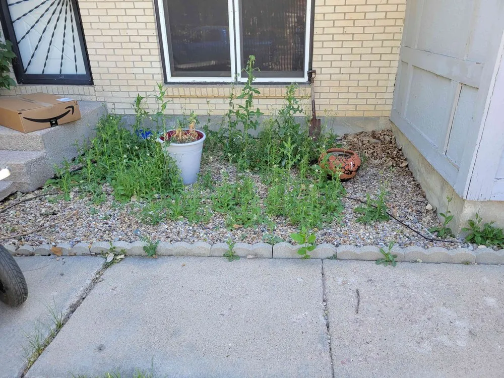 Expert lawn mowing service for outdoor upgrades across Gillette, WY - Cutting Edge Lawn Care