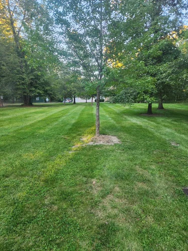 Trusted landscaping services near you across Hedrick, IA - Cutting Edge Lawn Care