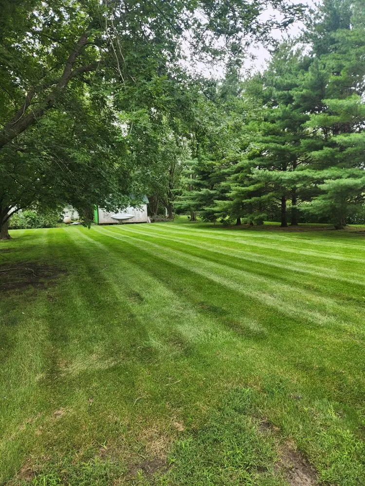Expert yard maintenance in Hedrick, IA - Cutting Edge Lawn Care