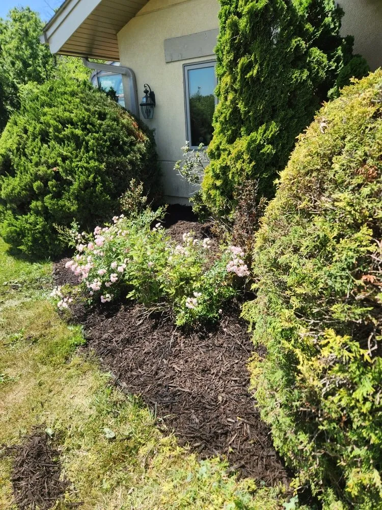 Local landscaping services experts serving Hedrick, IA - Cutting Edge Lawn Care