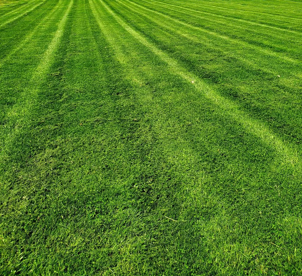 Local residential landscaping in Jacksonville, IL by Cutting Edge Lawn Care