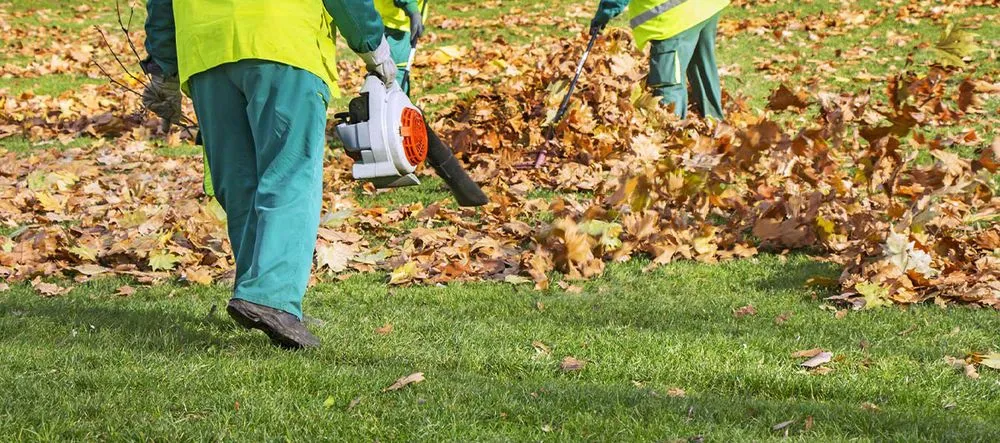 Top-rated lawn mowing service experts serving Metairie, LA - Cutting Edge Lawn Care