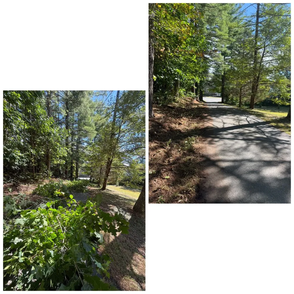 Reliable yard cleanup service in Orange, MA - Cutting Edge Lawn Care