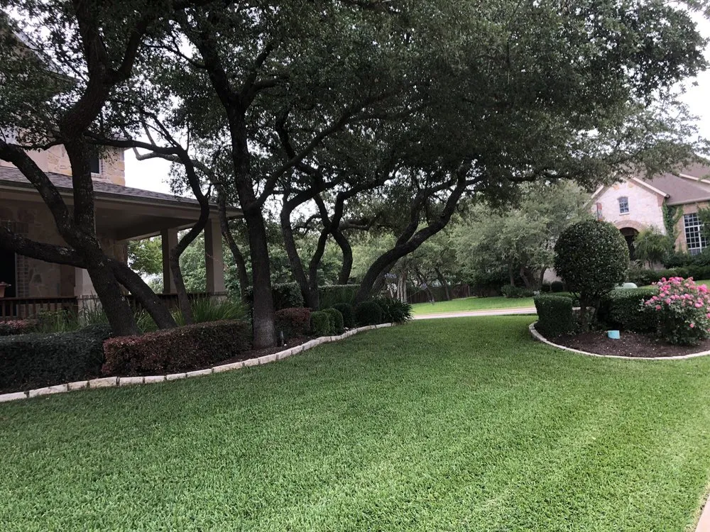 Top-rated yard cleanup service experts serving Round Rock, TX - Cutting Edge Lawn Care
