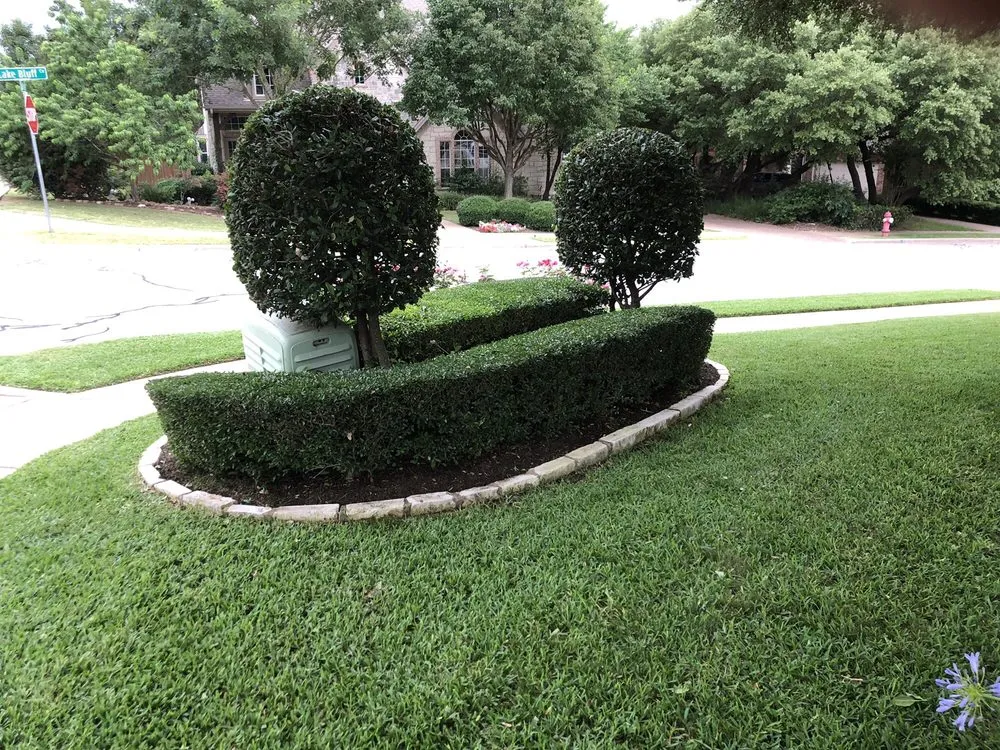 Reliable yard cleanup service for beautiful yards in Round Rock, TX by Cutting Edge Lawn Care