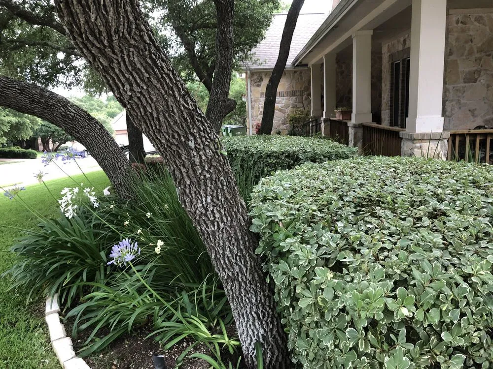 Reliable landscaping services for year-round maintenance across Round Rock, TX - Cutting Edge Lawn Care