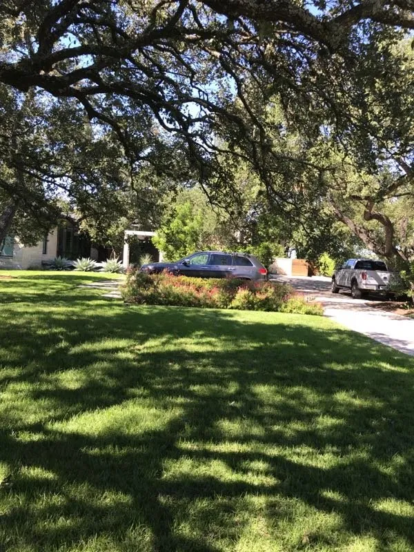 Affordable yard maintenance experts serving Round Rock, TX - Cutting Edge Lawn Care