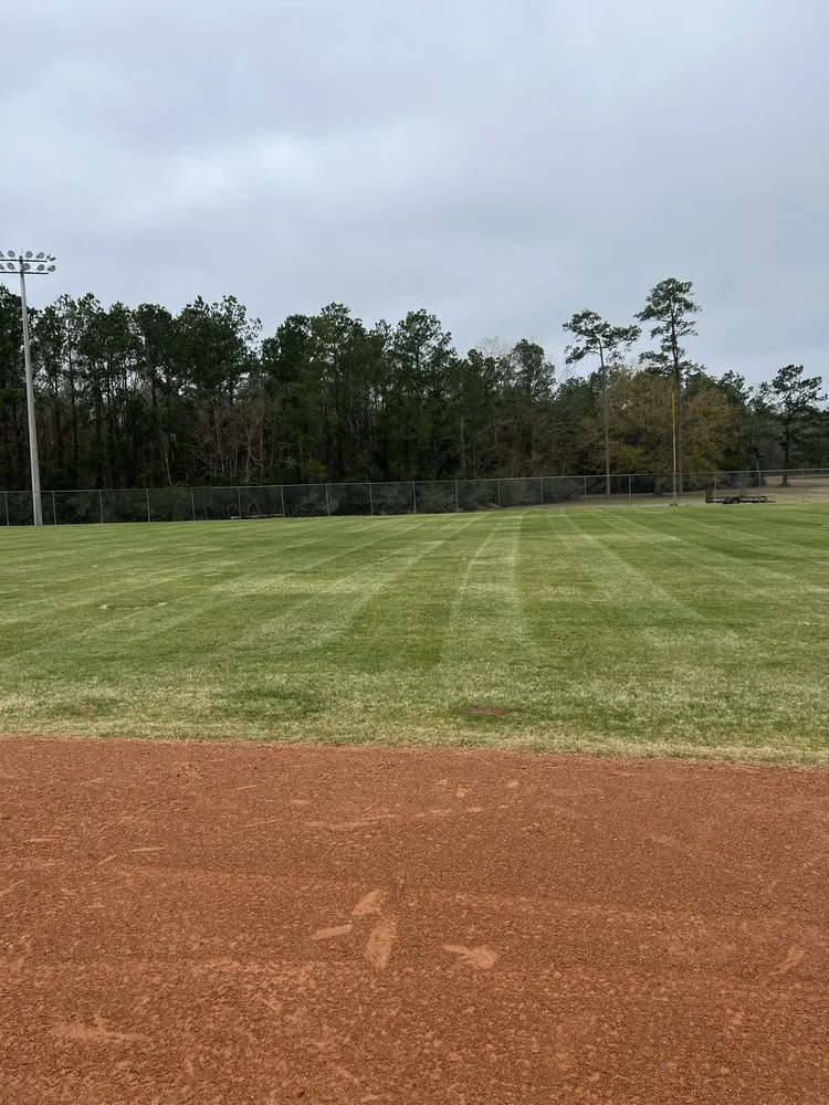 Trusted yard cleanup service with custom design in Springfield, LA by Cutting Edge Lawn Care