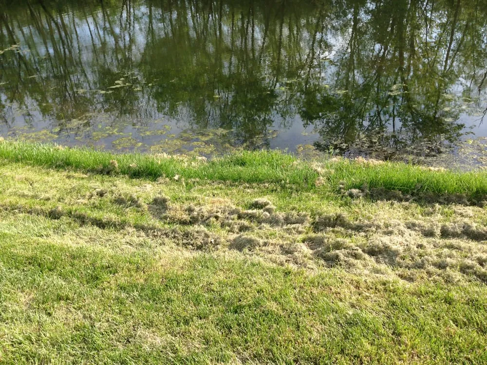 Local garden landscaping with custom design in Troy, IL by Cutting Edge Lawn Care