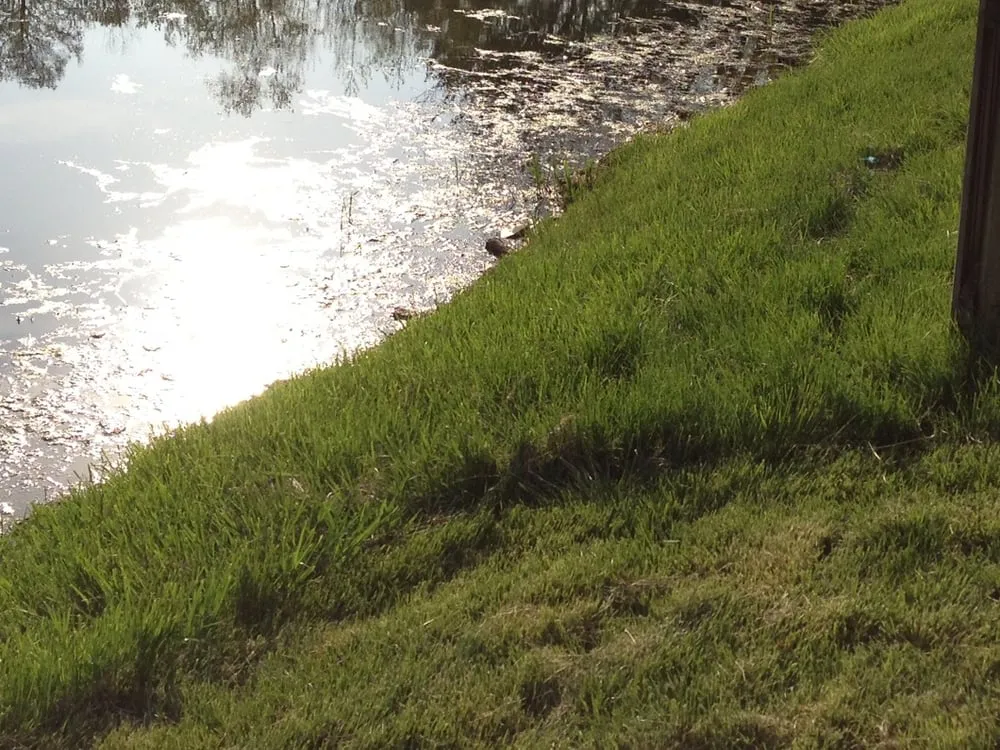 Reliable outdoor landscaping experts serving Troy, IL - Cutting Edge Lawn Care