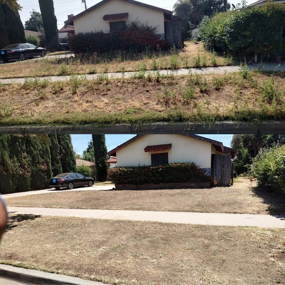 Custom residential landscaping for beautiful yards in Riverside, CA by Cutting Edge Lawn Renovations