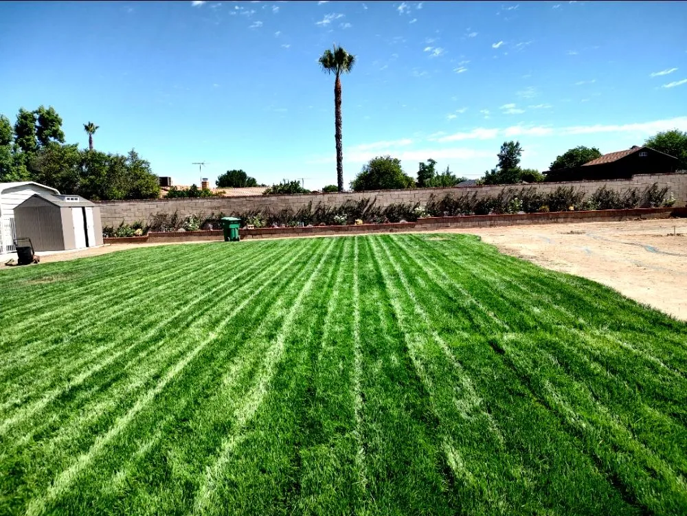 Reliable landscape design for homes in Riverside, CA by Cutting Edge Lawn Renovations