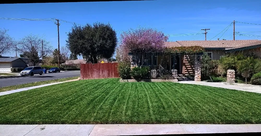 Trusted yard maintenance experts serving Riverside, CA - Cutting Edge Lawn Renovations