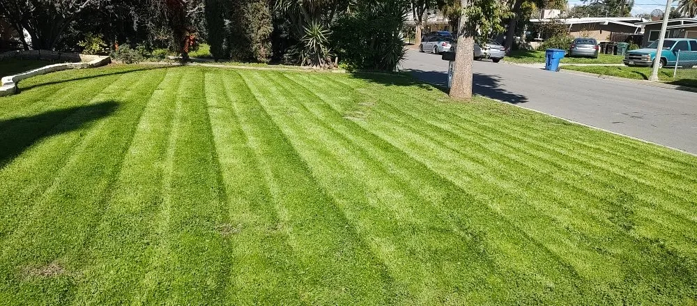 Affordable outdoor landscaping for homes across Riverside, CA - Cutting Edge Lawn Renovations