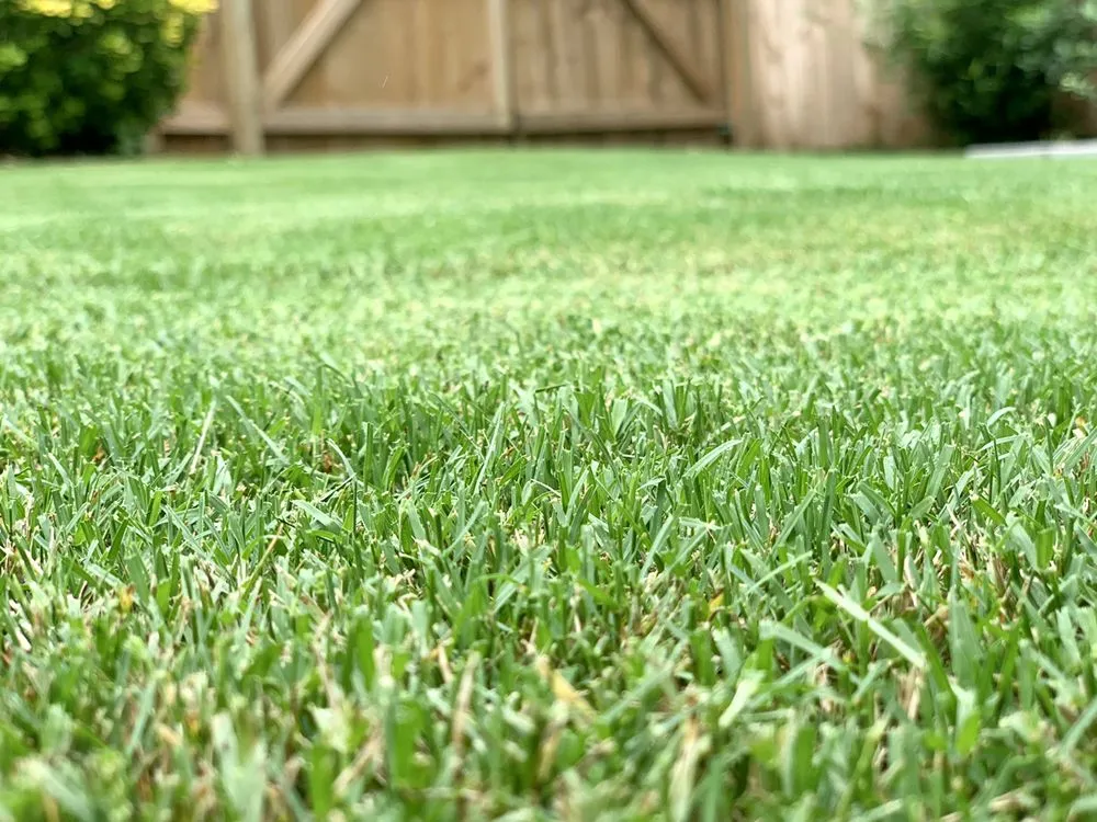 Top-rated landscape design in Snellville, GA - Cutting Edge Lawn Service