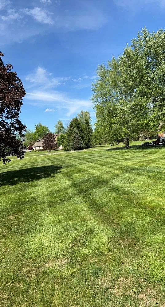 Local lawn care service experts serving Lima, OH - Cutting Edge Lawn Solutions